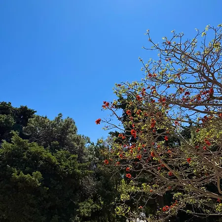 Casa Assisi Apartmán *