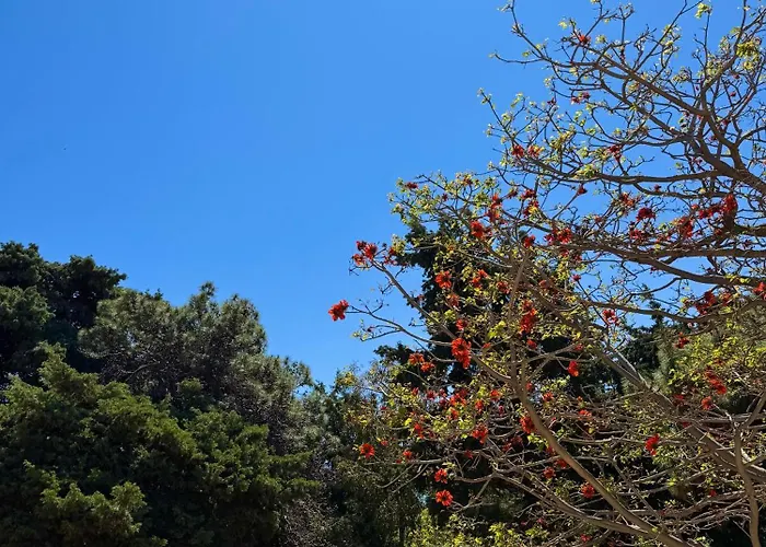 Casa Assisi Apartmán *